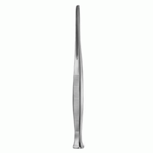 Bone Chisels Gouges